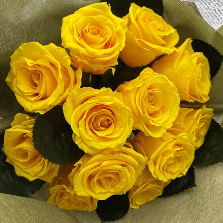 黄色い薔薇12本　ローズ12本花束　プリザーブドフラワー 花束　ケース入り