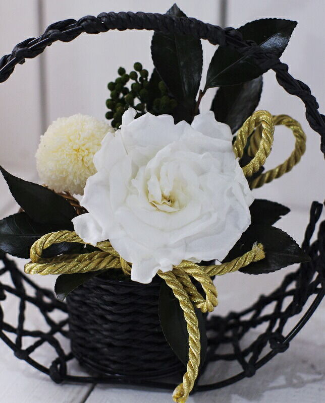 ふわりさま もちふわクッション Lサイズ フレンズヒル しまださん