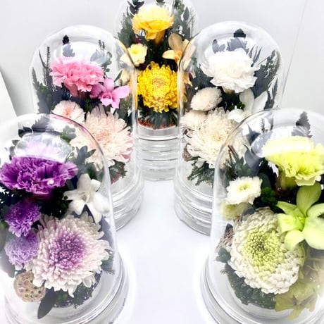 選べる5色　ドームケース入り輪菊の仏花　手入れ不要プリザーブドフラワー（白）
