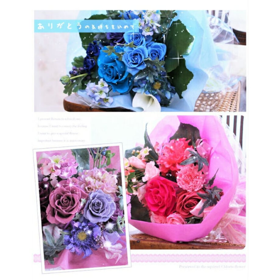 63e61581f54f6771a4d9d6a5
