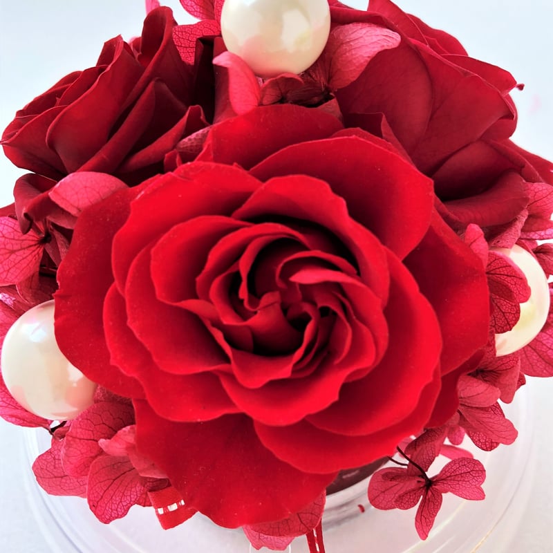 赤いバラのプリザーブドフラワー ドーム型 赤いプリザーブドローズ