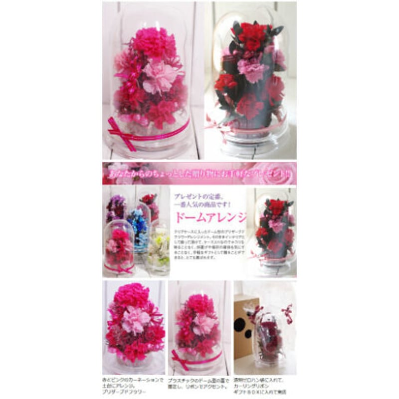 琉球*ルミカモス☆ 蓄光 フィンランドモスプリザーブド花材0331-6