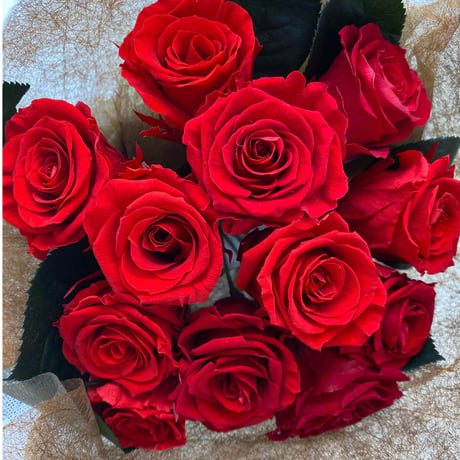 赤い花束　薔薇12本　ローズ12本花束　プリザーブドフラワー 花束　ケース入り  のコピー
