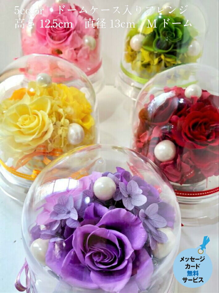 プリザーブドフラワードーム型アレンジ 中（グリーン） | Chloris-flower