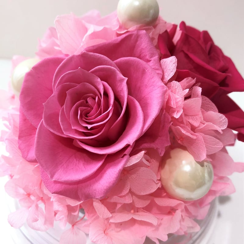 プリザーブドフラワードーム型アレンジ 中（ピンク） | Chloris-flower