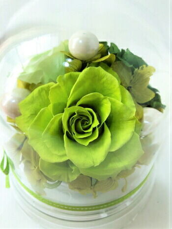 プリザーブドフラワードーム型アレンジ 中（グリーン） | Chloris-flower