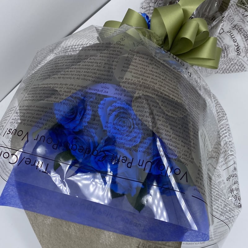 Pandora Hearts 花言葉 ブロマイド　フルセット 希少品 PandoraHearts 抱きつきポストカード 花言葉ブロマイド