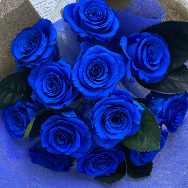 青い薔薇12本 ローズ12本花束 プリザーブドフラワー 花束 ケース 青い薔薇12本 ローズ12本花束 プリザーブドフラワー 花束 ケース