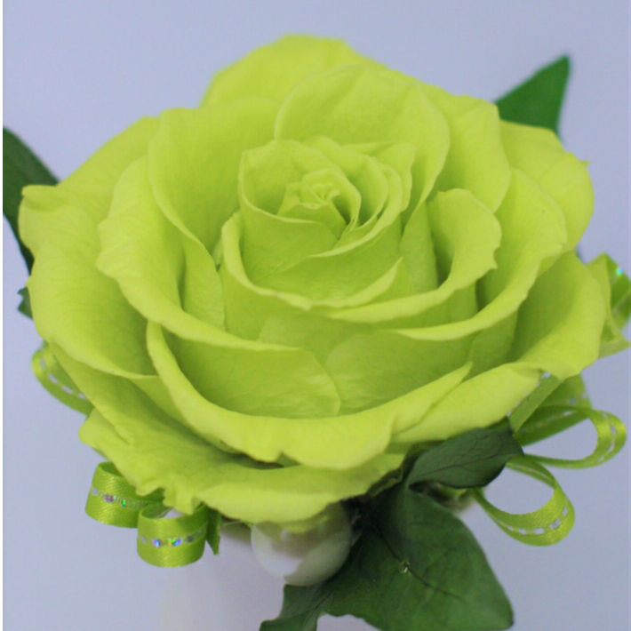 緑寿 緑の大きな薔薇の一輪挿し プリザーブドフラワー（グリーン
