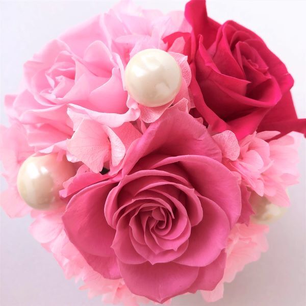 プリザーブドフラワードーム型アレンジ 中（ピンク） | Chloris-flower