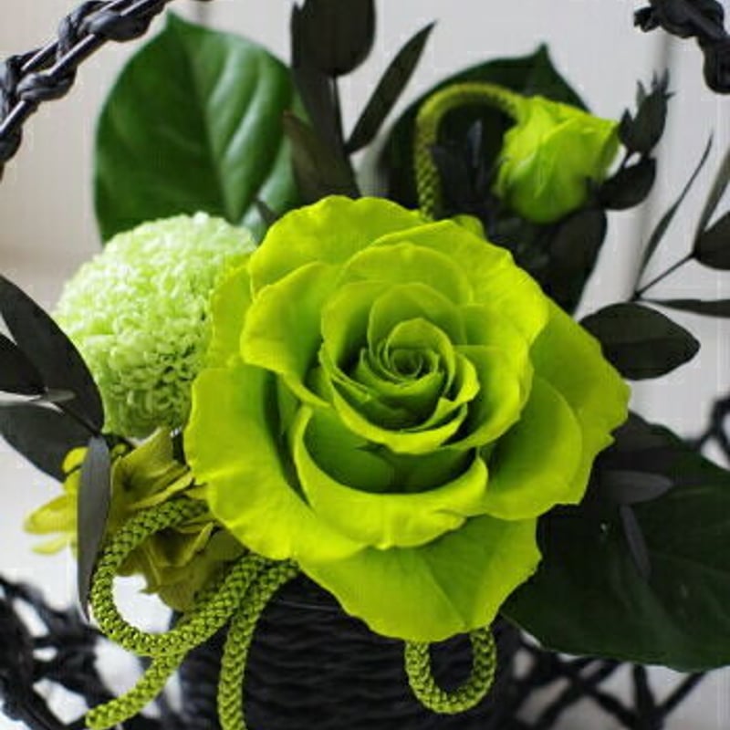 卑弥呼 和風プリザーブドフラワー （緑） | Chloris-flower