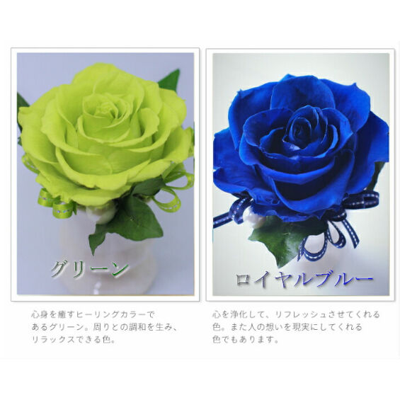 eimyっω)様　カハラホテルブルー♡水色　２点おまとめ プライベートオーシャンヴィラ【VILLA 藍水-ransui-】 | 愛犬