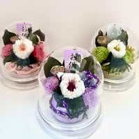 輪菊 選べる3色ドーム仏花 プリザーブドフラワー 仏花 お供え お悔やみ 供花 仏壇 枯れない 一周忌 四十九日 お悔やみ 仏壇用 お盆 初盆 お彼岸 正月 法事 ペット