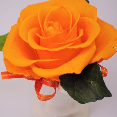 送別　誕生日　オレンジの大きな薔薇の一輪挿し　プリザーブドフラワー（オレンジ）