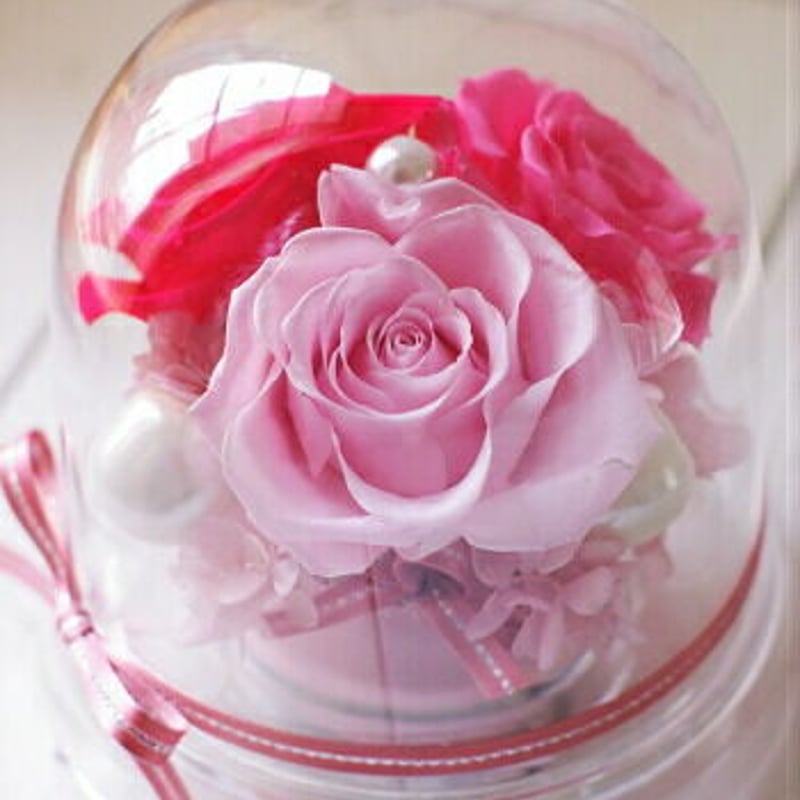 プリザーブドフラワードーム ☆ ピンク♬ アレンジメント プリザーブドフラワードーム型アレンジ 中（ピンク） | Chloris-flower