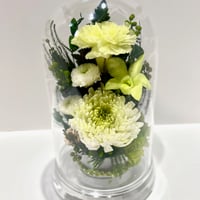 クチナシのアレンジ 和風プリザーブドフラワー 満月 (白 クチナシのアレンジ 和風プリザーブドフラワー 満月 (白