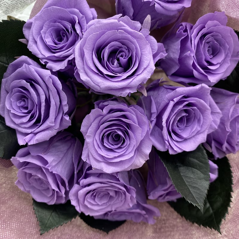 青い薔薇12本 ローズ12本花束 プリザーブドフラワー 花束 ケース入り