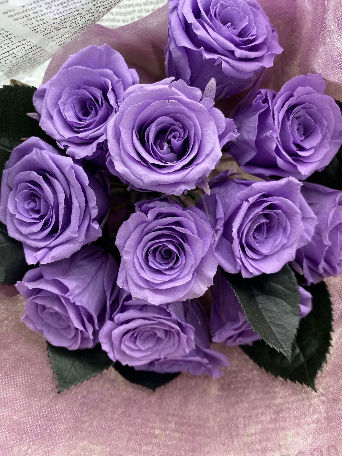 紫のプリザーブドローズ 12本額縁入り 楽天市場】額入りプリザーブドフラワー プリザーブドフラワー