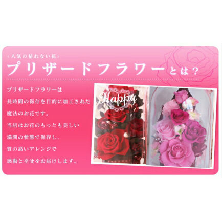 11カラー ドームアレンジ 枯れないお花 プリザーブドフラワーギフト