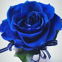 夢叶う 青い薔薇1輪　大きな薔薇の一輪挿し（ロイヤルブルー）ブルーローズ