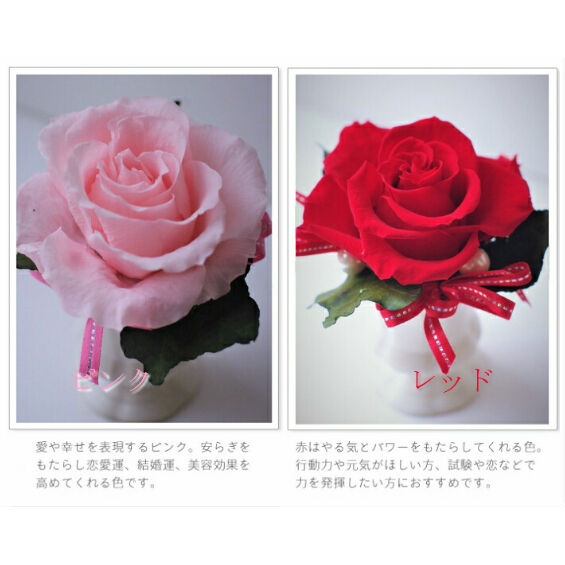 誕生日 還暦 御祝 大きな赤い薔薇の一輪挿し プリザーブドフラワー（赤