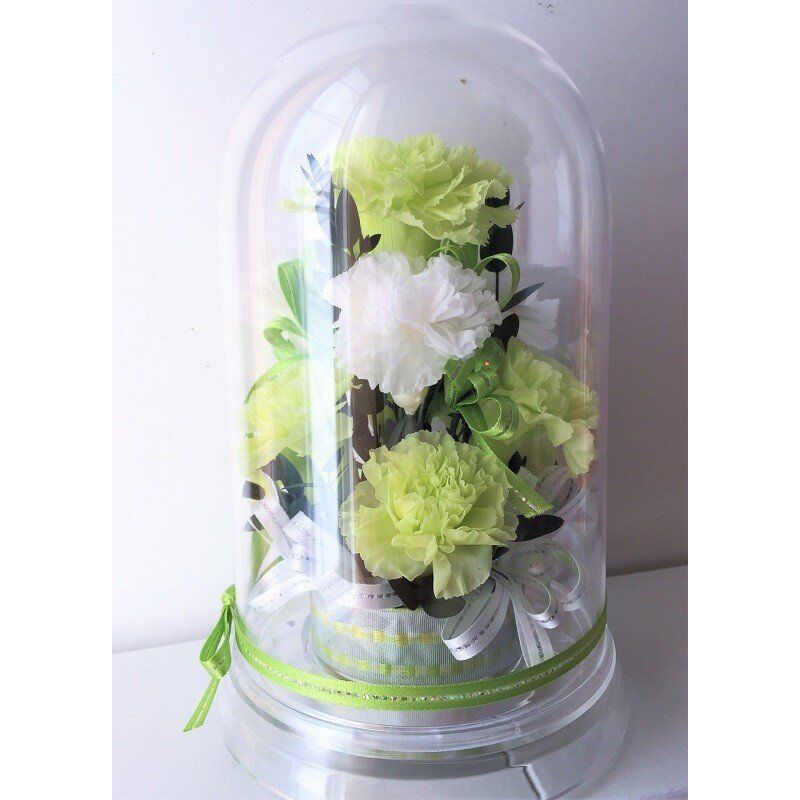 母の日ギフト 青いカーネーション ドームアレンジ プリザーブド