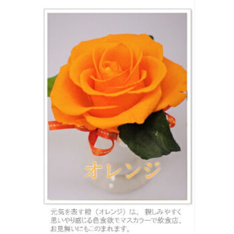 プリザーブドフラワー 花ギフト 選べる8色 大きな薔薇の一輪挿し