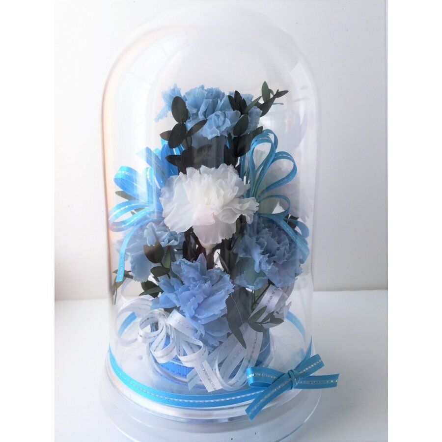 fit=scale-down,w=1200