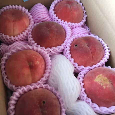 【家庭用7月発送】【有機JAS認証の美味しい桃】自然に優しく希少でジューシーな天然桃