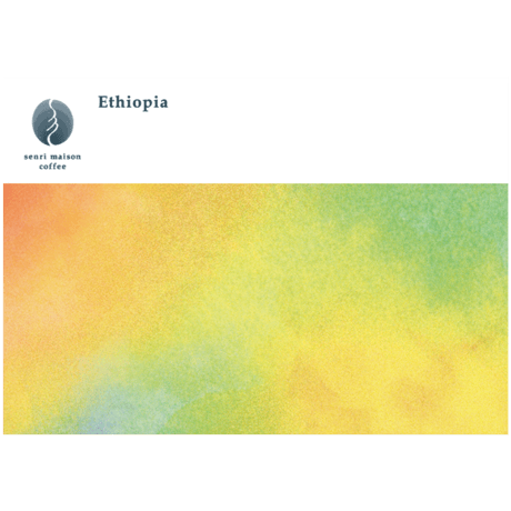 エチオピア　イルガチェフェ　チェルベサ  ナチュラル