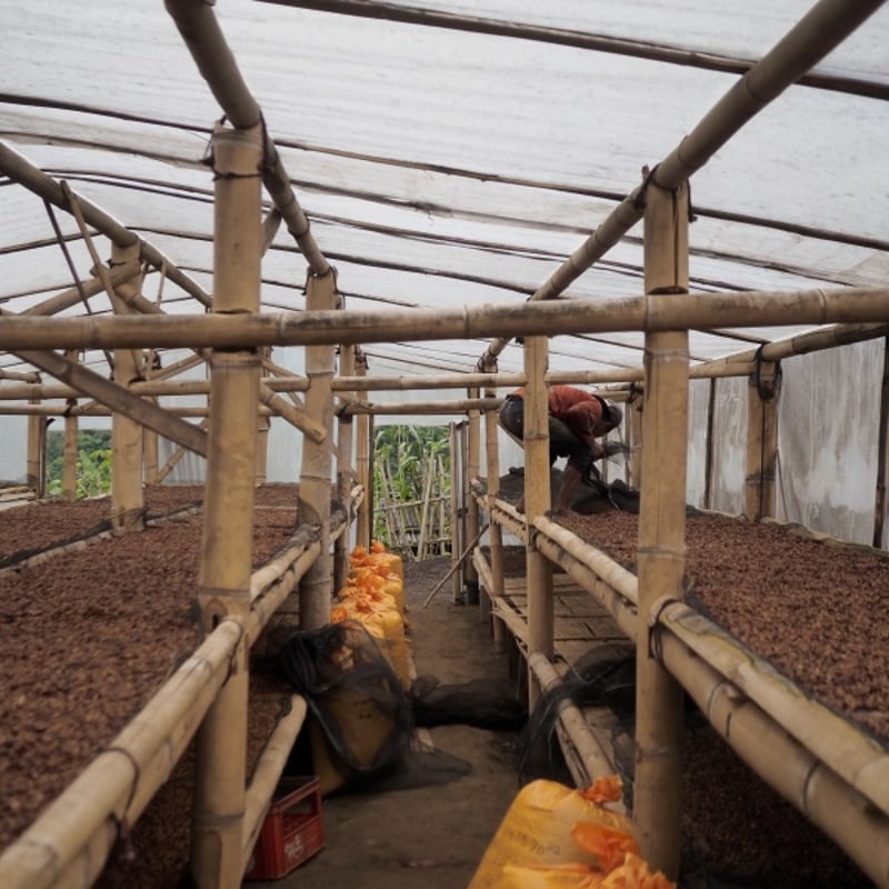 貴重！インドネシアガルーダ 職人手作りヴィンテージ バリ島 インドネシア 木彫 ガルーダ 置物 重さ約5㎏ 6569C - メルカリ