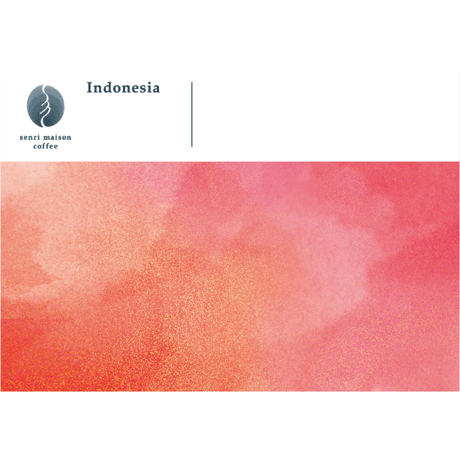 インドネシア Co-NECT Project Bhadrika  Pollung SeribuRaja G1