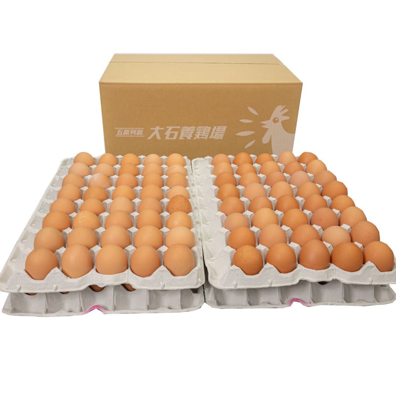 五島の恵みたまご 大きめ（Lサイズ）150個入り | 五島列島 大石養鶏場
