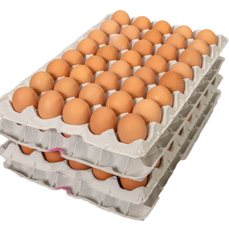 五島の恵みたまご 大きめ（Lサイズ）150個入り | 五島列島 大石養鶏場