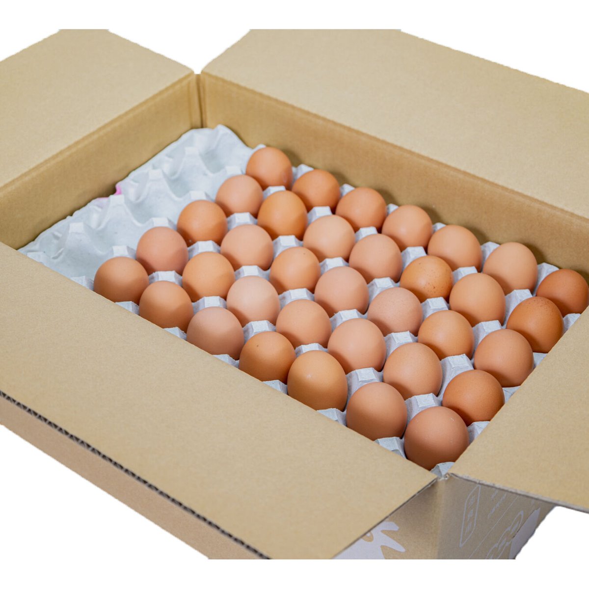 五島の恵みたまご 大きめ（Lサイズ）150個入り | 五島列島 大石養鶏場