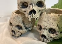 辰巳又助】 | うつわ屋ギャラリー369