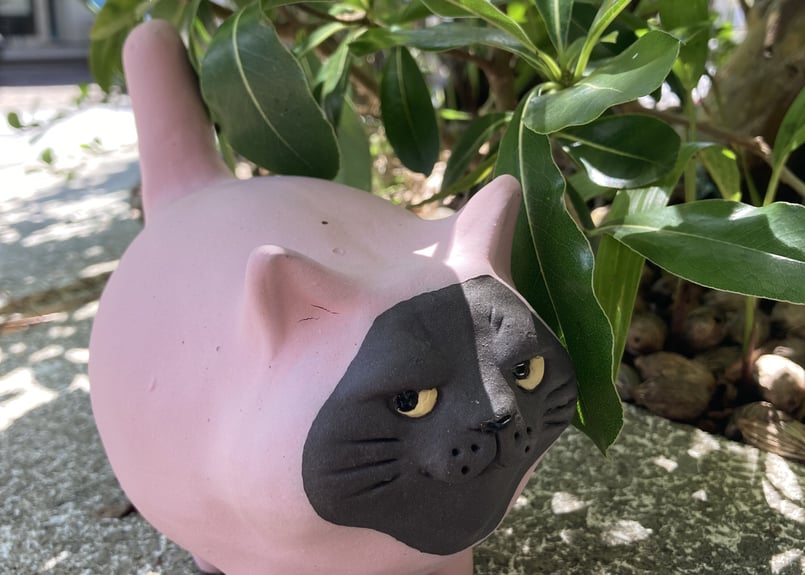 もちもちでぶねこ ピンクタイツ | うつわ屋ギャラリー369