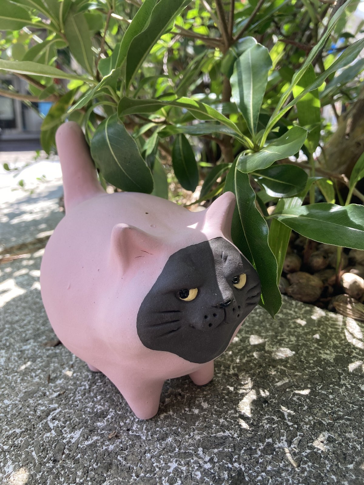 もちもちでぶねこ ピンクタイツ | うつわ屋ギャラリー369