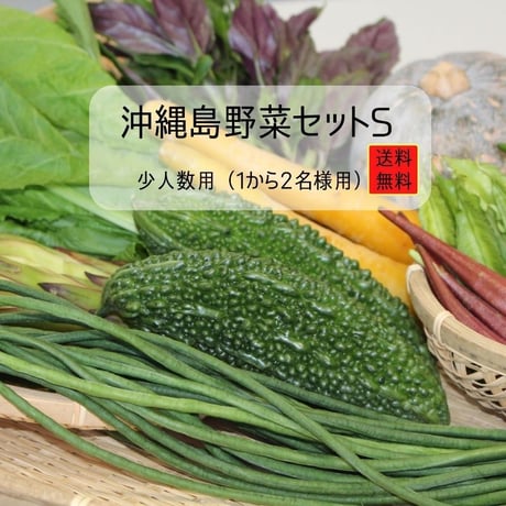 【農薬不使用栽培】【送料込み】沖縄島野菜セットS　～お試しセット～
