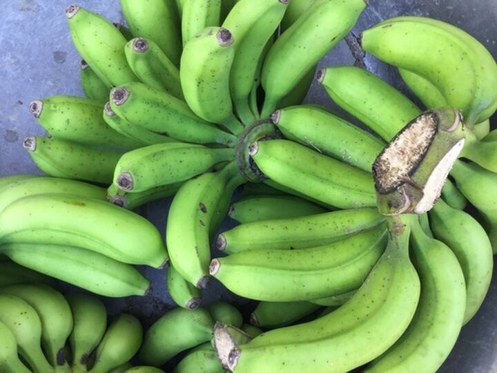 【農薬不使用栽培】【送料無料】沖縄県産バナナ約3㎏