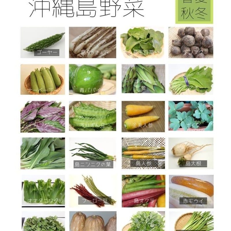 農薬不使用栽培】【送料込み】沖縄島野菜セットS ~お試しセット 農薬不使用栽培】【送料込み】沖縄島野菜セットS ~お試しセット
