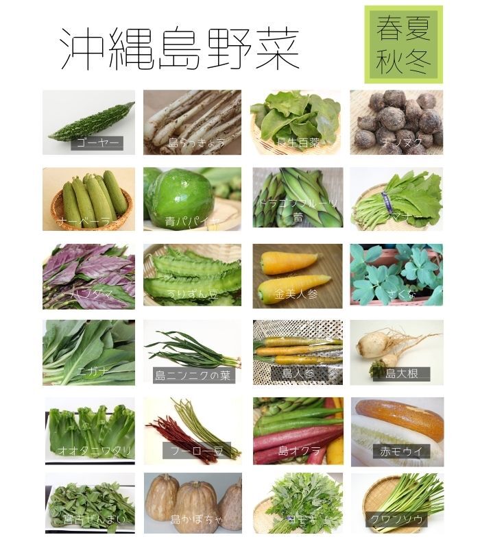沖縄野菜の本 農薬不使用栽培】【送料込み】沖縄島野菜セットL ～ファミリーセット