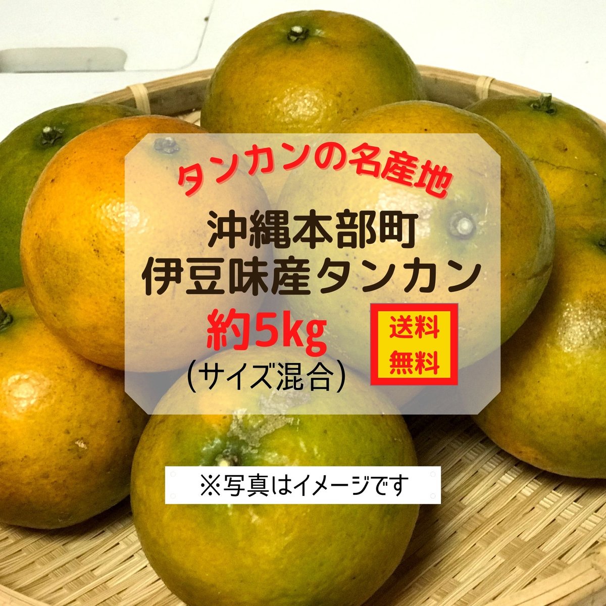 沖縄産タンカン約5kg 〜特別栽培(減農薬・化学肥料不使用栽培）【送料