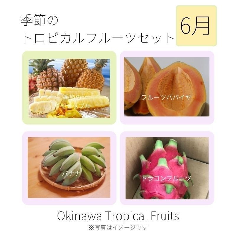 フルーツセット】沖縄産｜季節のトロピカルフルーツセット | lahanico沖縄