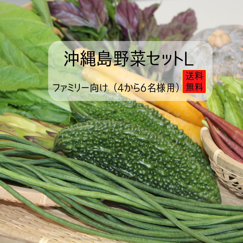 農薬不使用栽培】【送料込み】沖縄島野菜セットL ～ファミリーセット