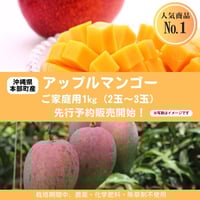 フルーツセット】沖縄産｜季節のトロピカルフルーツセット