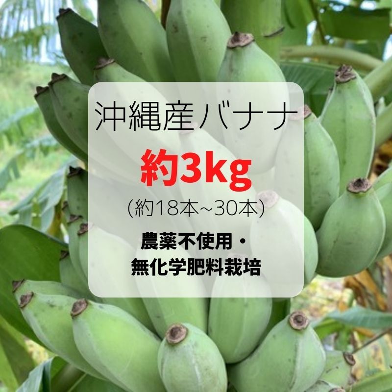 【農薬不使用栽培】【送料無料】沖縄県産バナナ約3㎏