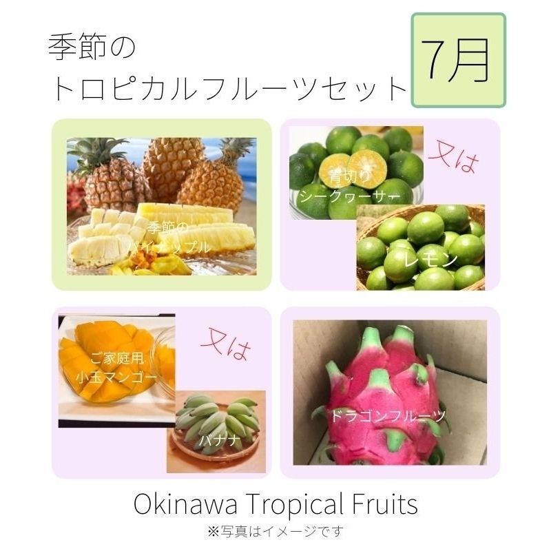 【motooki41】石垣島産 フルーツセット フルーツセット】沖縄産｜季節のトロピカルフルーツセット | lahanico沖縄
