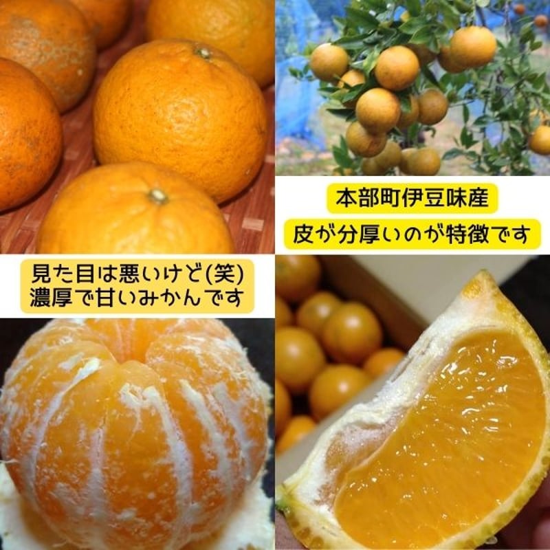 沖縄産タンカン約5kg 〜特別栽培(減農薬・化学肥料不使用栽培）【送料