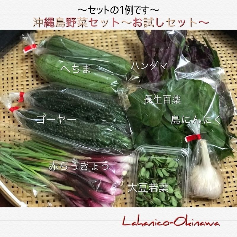 スピカ様野菜セット 果物追加 CF01】BF059 【12回定期便】旬の野菜・フルーツ (12〜14品目